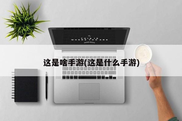 这是啥手游(这是什么手游)
