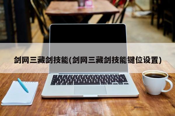 剑网三藏剑技能(剑网三藏剑技能键位设置)